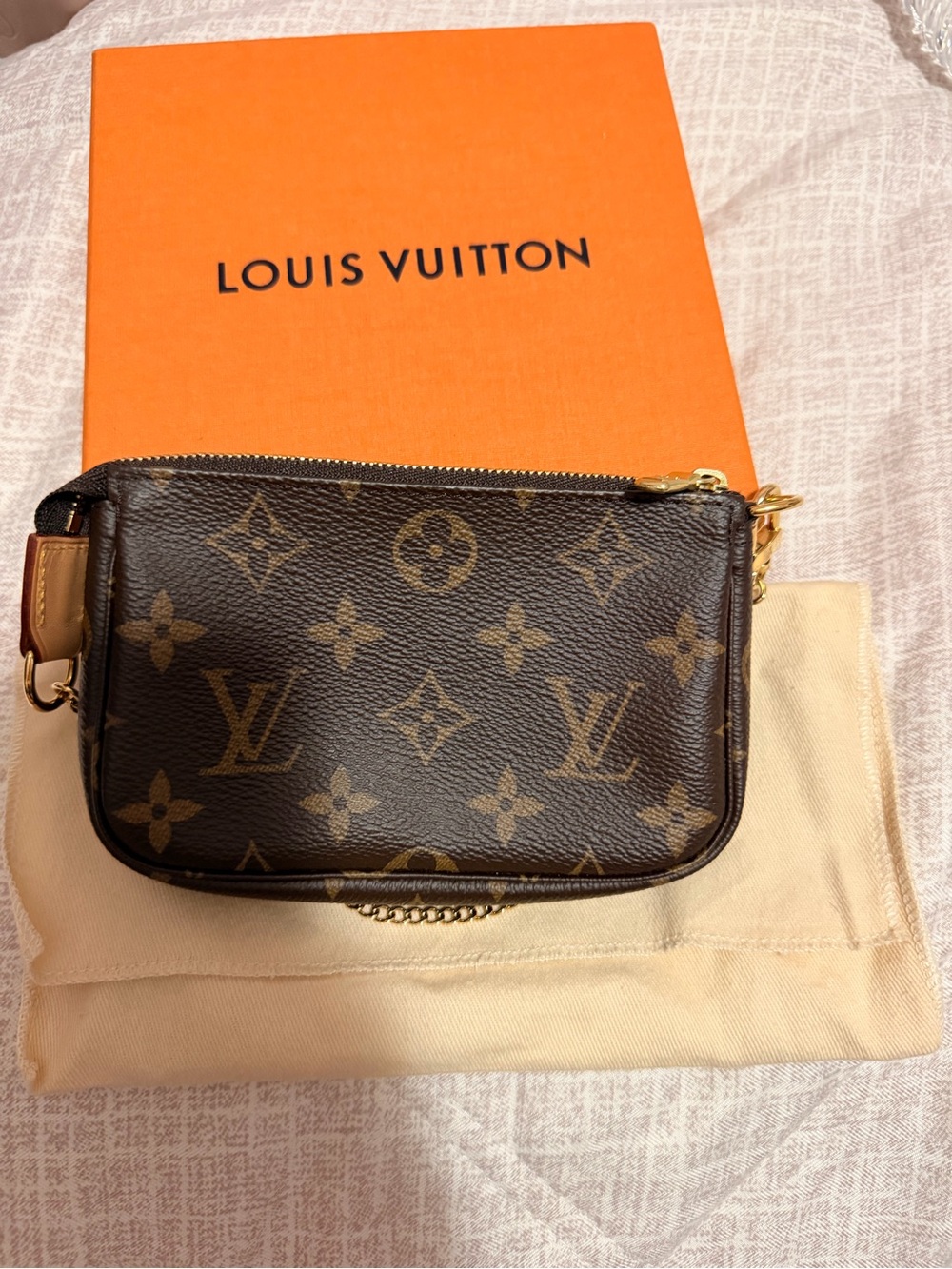 Louis Vuitton Monogram Mini Pochette